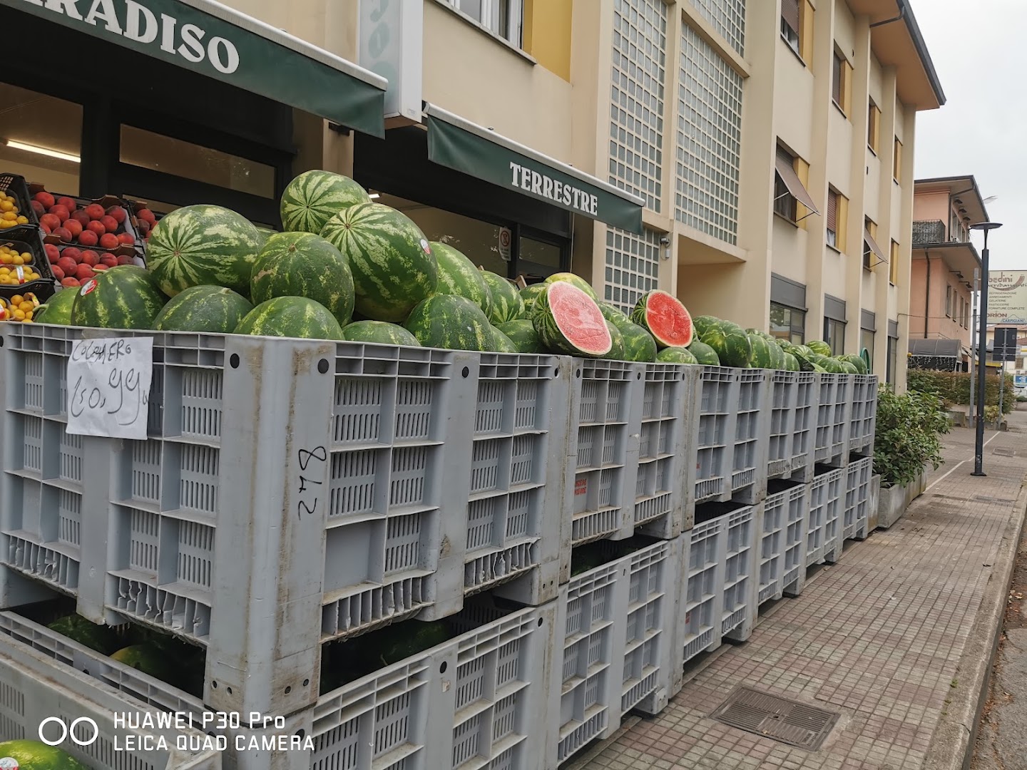 Frutteria il paradiso terrestre