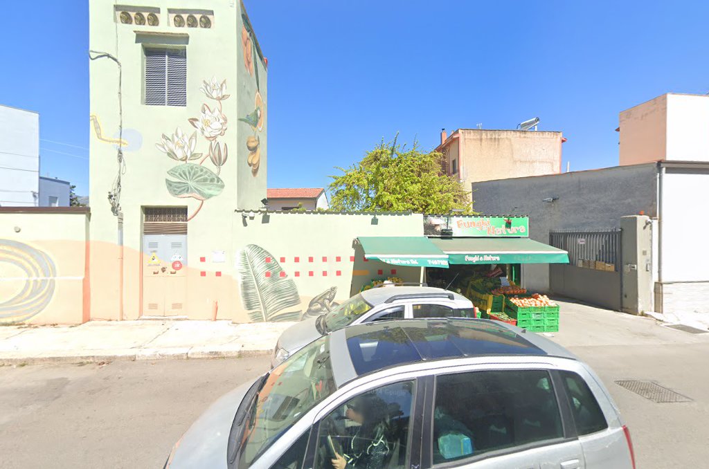 Funghi e natura, Palermo