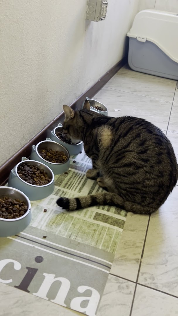 Fusa&Caffè