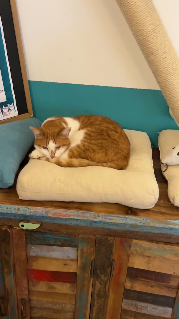 Fusa&Caffè