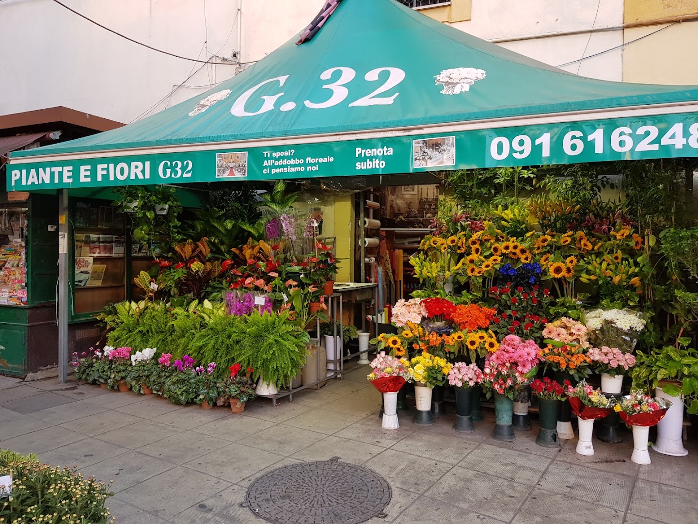 G32 Piante e Fiori Palermo