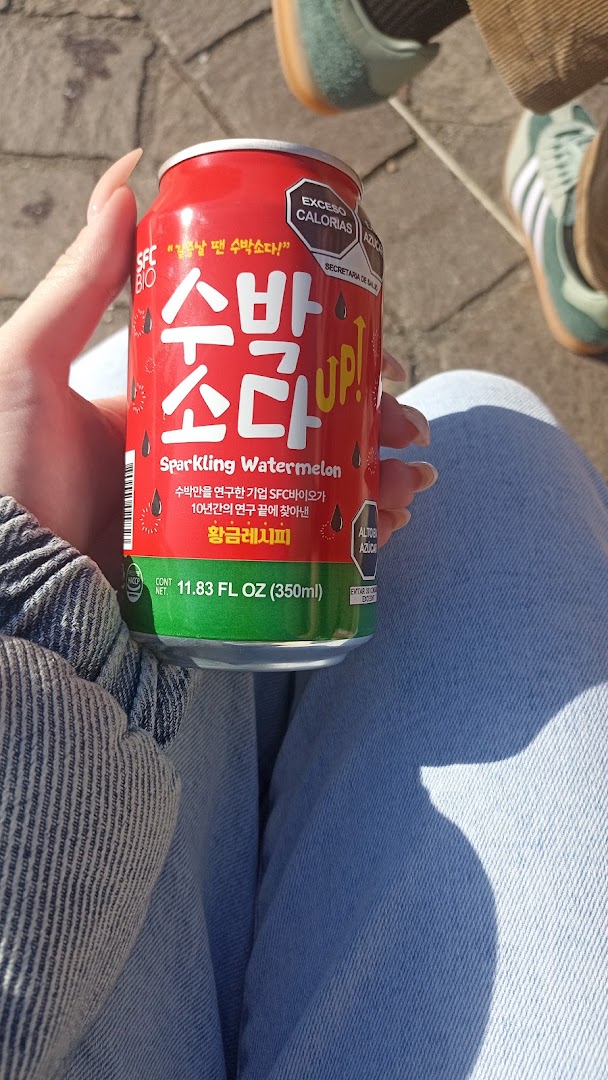 Gaghe Korean e Japanese Food Shop