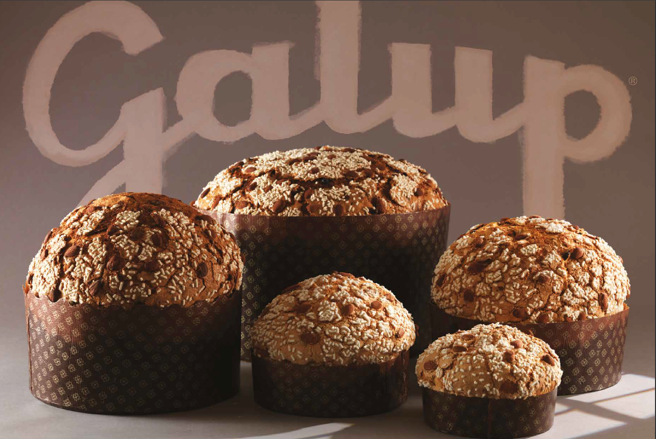 Galup store Pinerolo