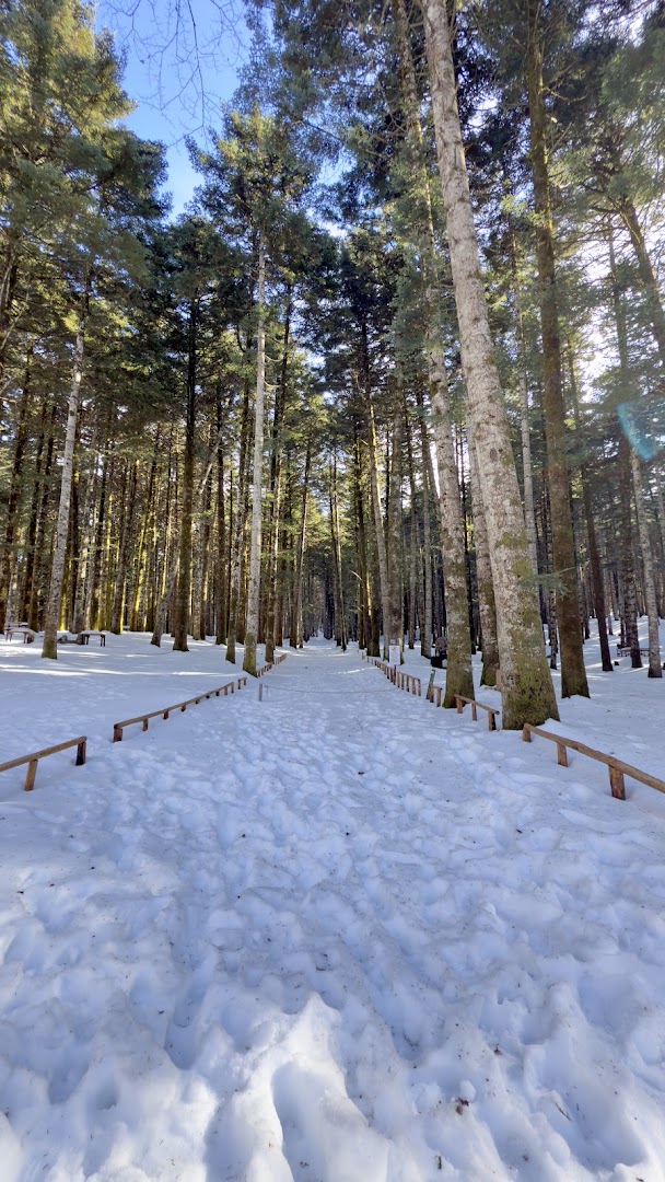 Gambarie D'Aspromonte