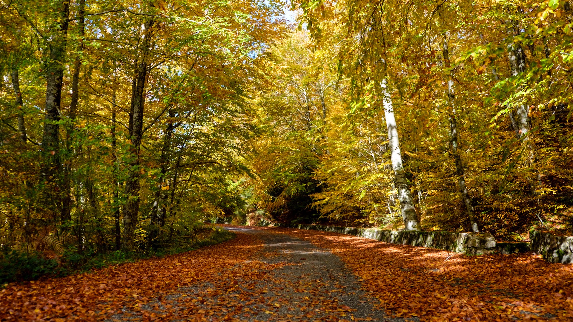 Gambarie D'Aspromonte