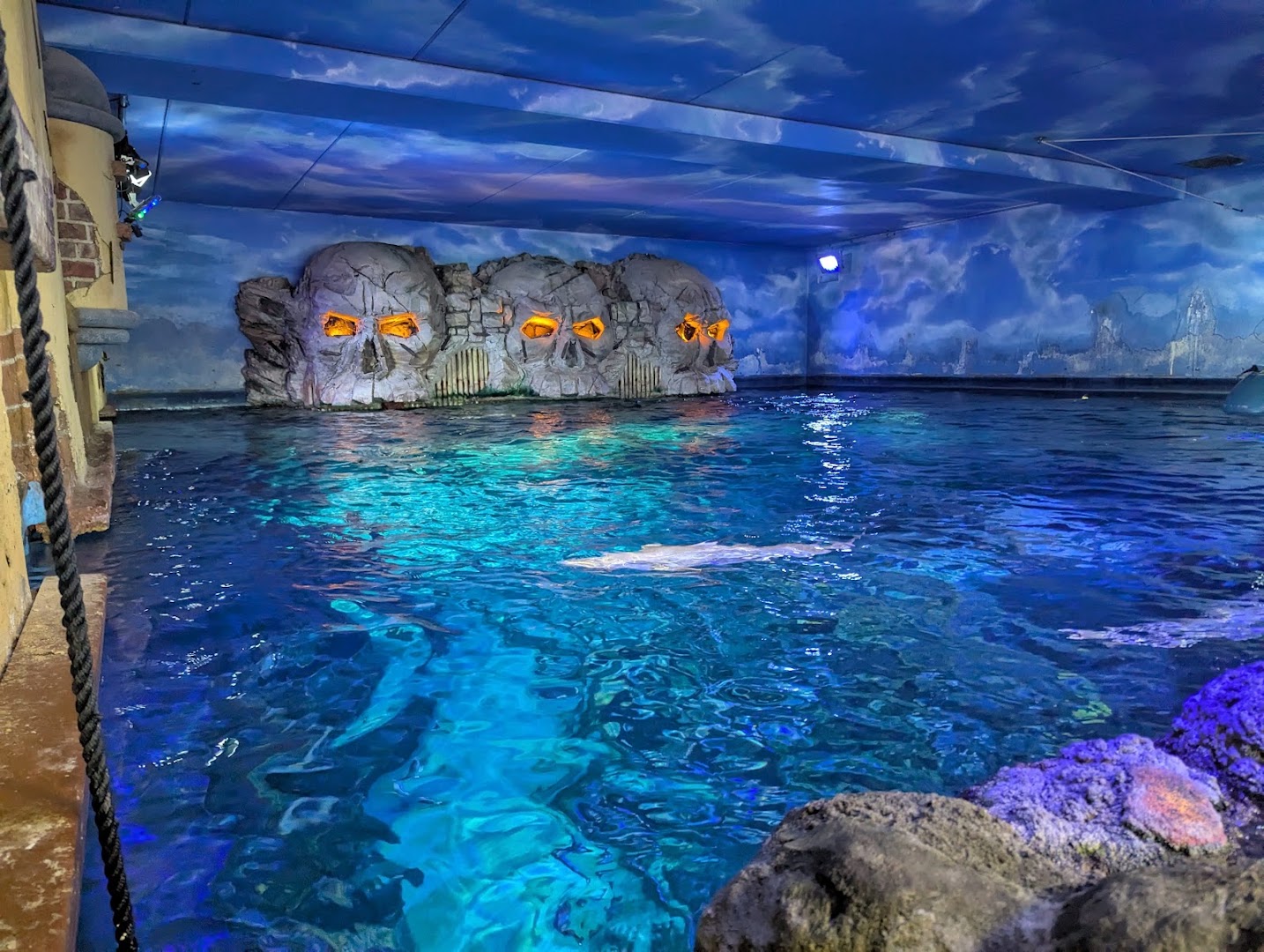 Gardaland SEA LIFE Aquarium