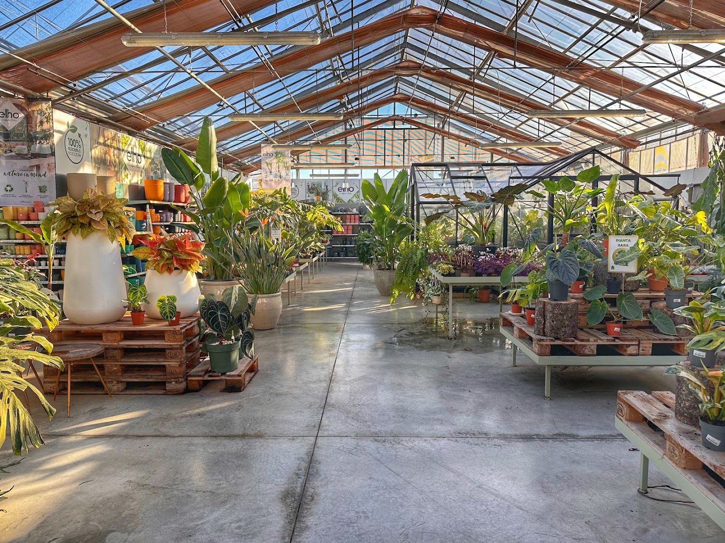 Garden Center Brioli