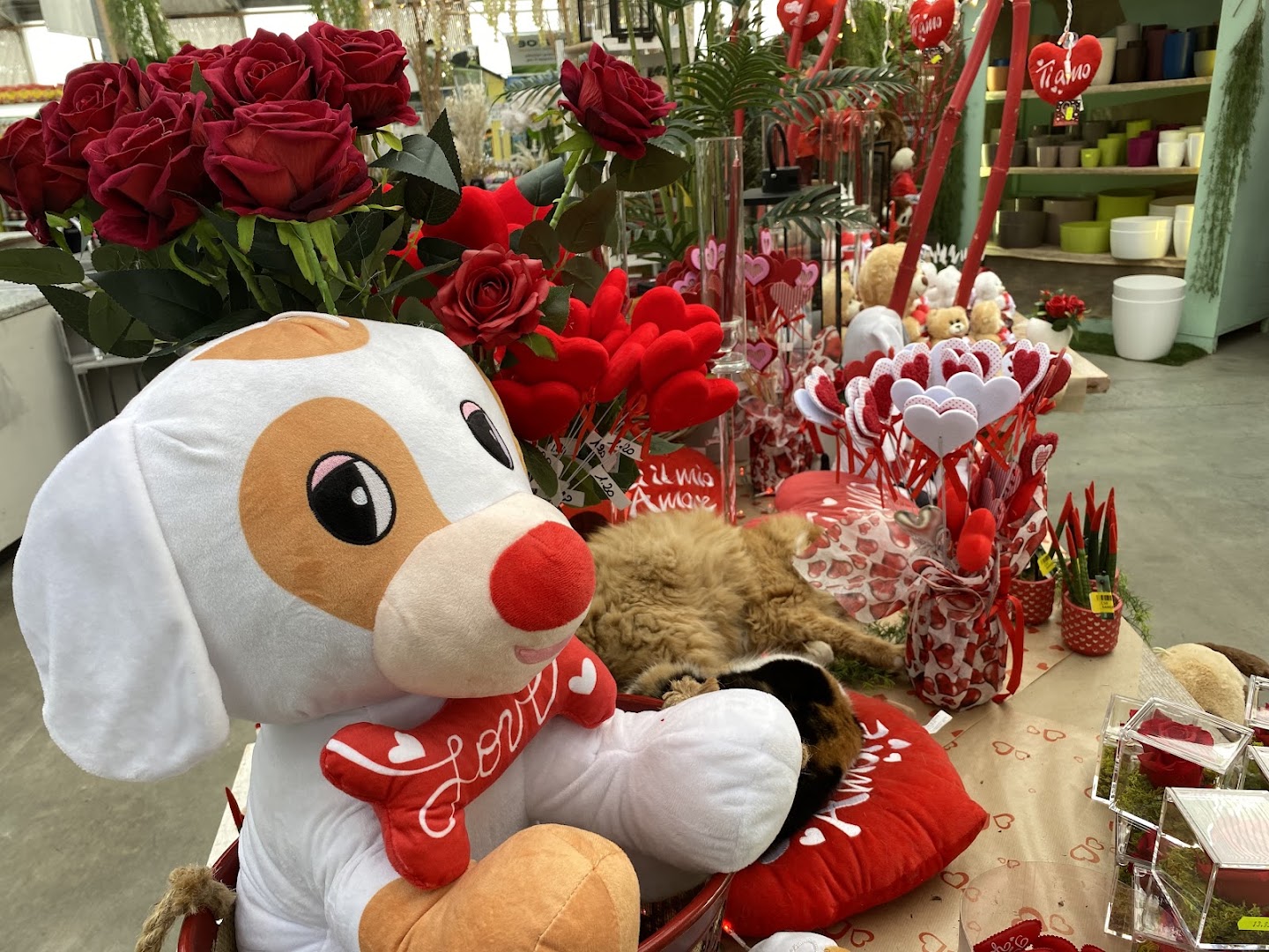 Garden Idea