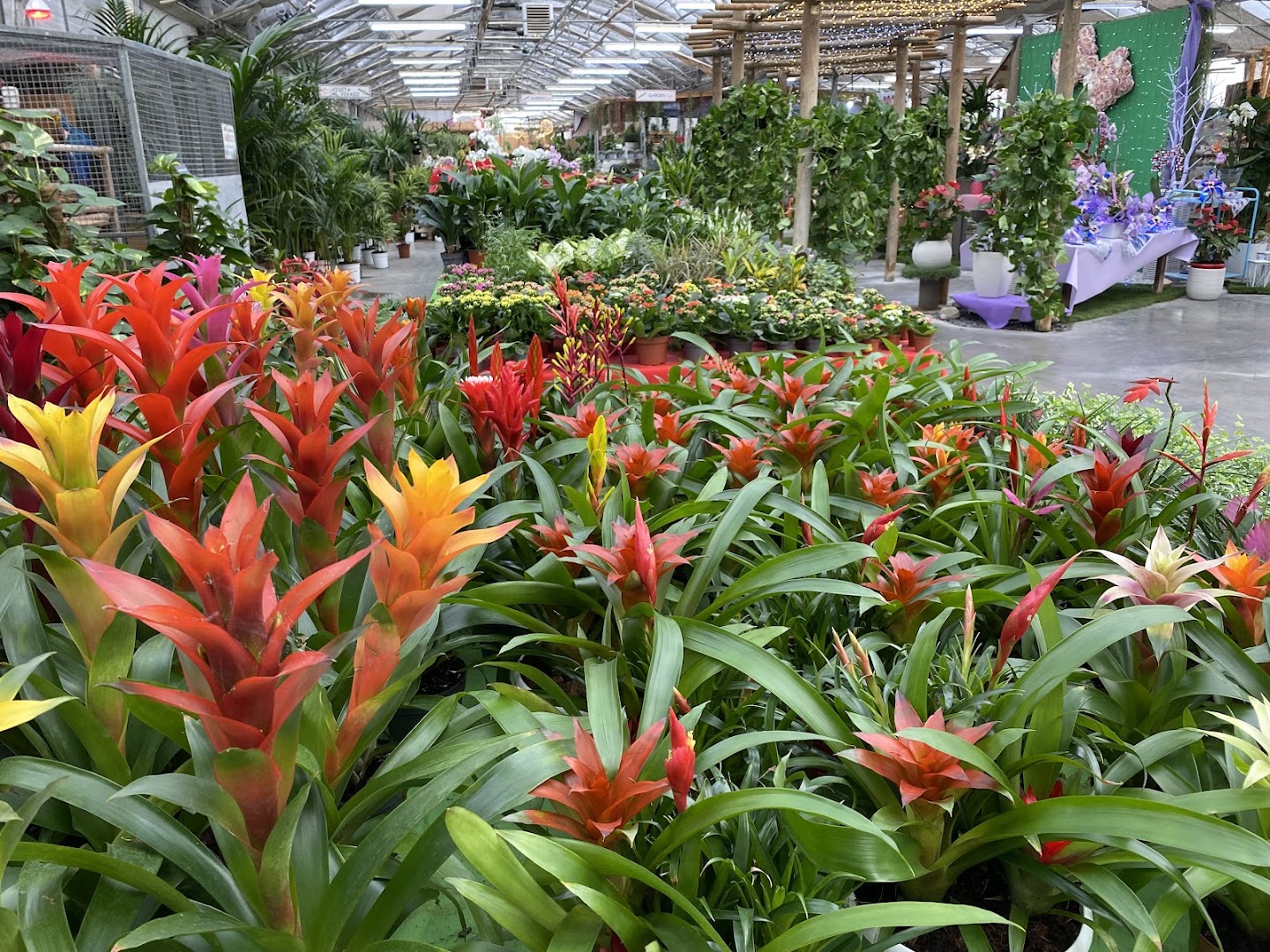 Garden Idea