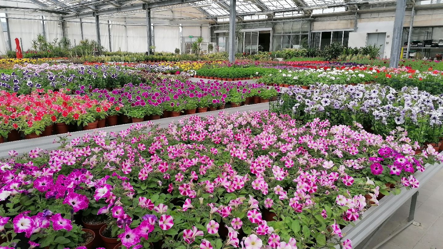 Garden Iobbi