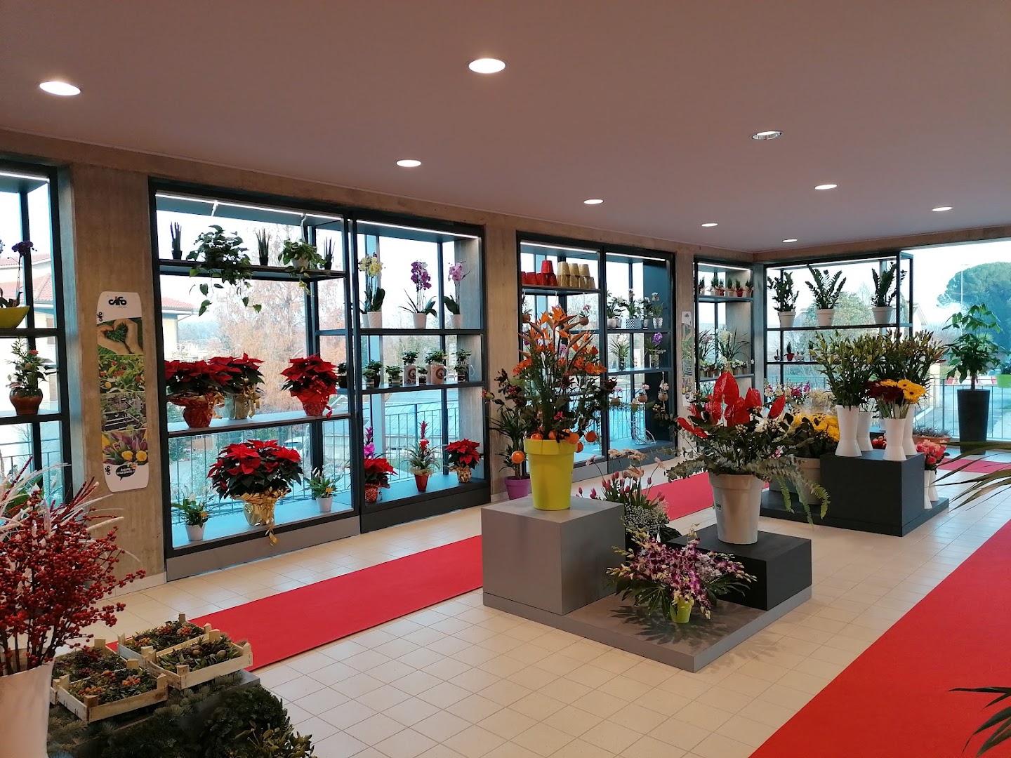 Garden Iobbi