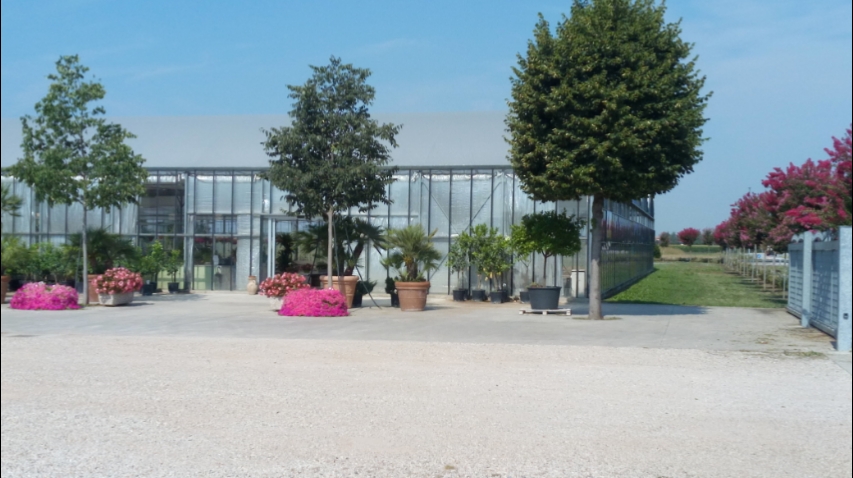 Garden Oasi Fiorita Dal Maso Maurizio, Lonigo