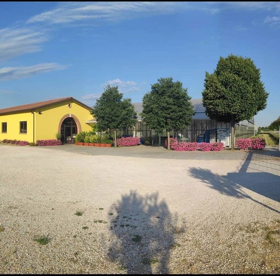 Garden Oasi Fiorita Dal Maso Maurizio