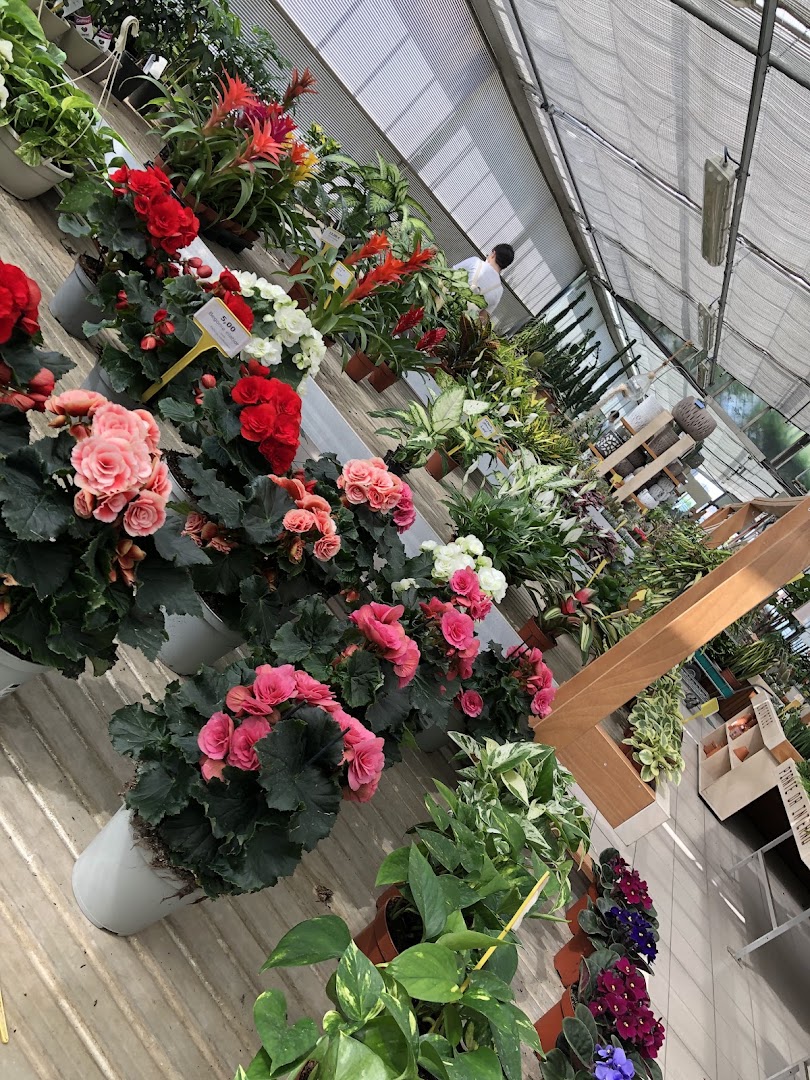 Garden Pregno