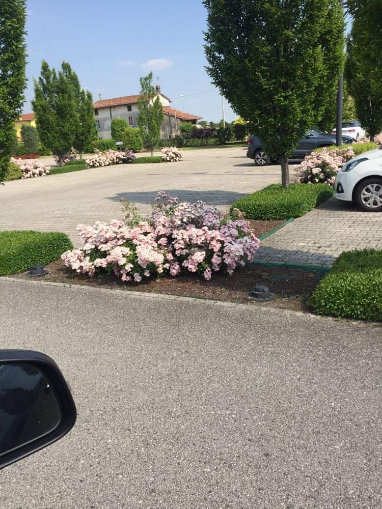 Garden Schio