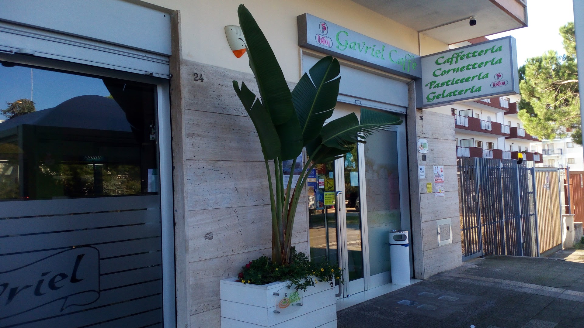 Gavriel Caffè, Giovinazzo