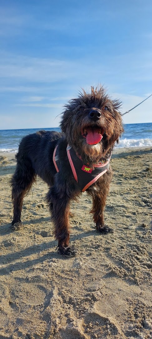 Geco Beach