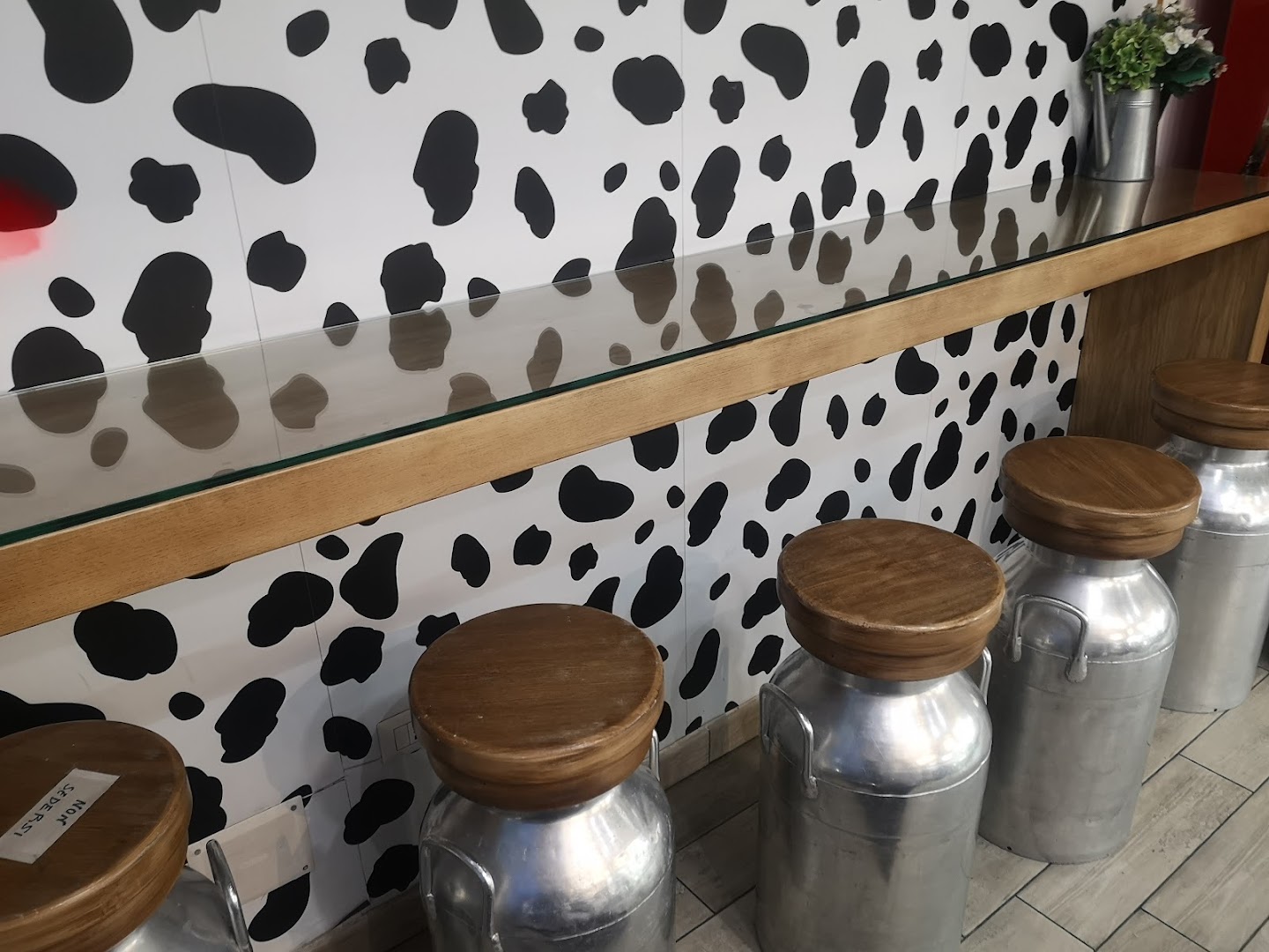 Gelateria Alba