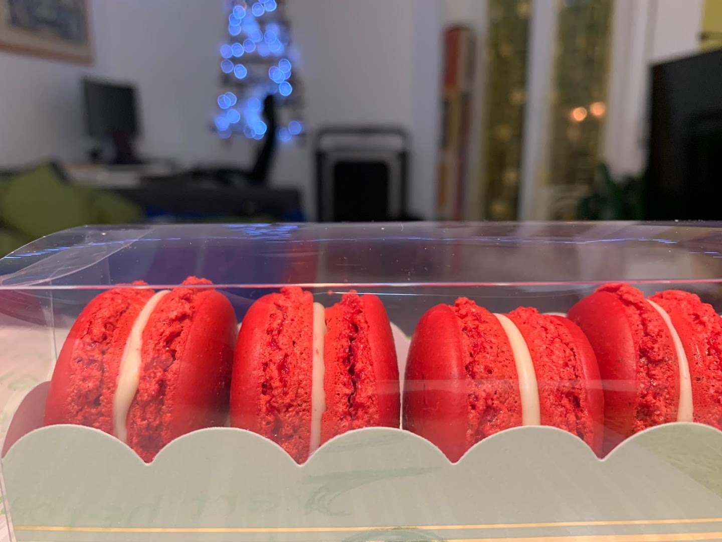 Gelateria Artigianale Gelo'