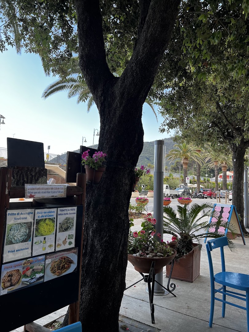 Gelateria Bar Santa Maria