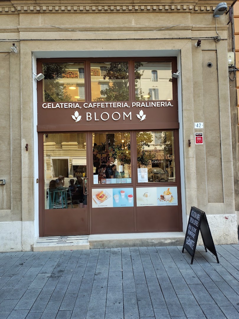Gelateria Bloom - Piazza Mazzini (MO)