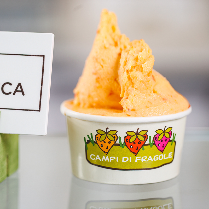 Gelateria Campi di Fragole | Fano
