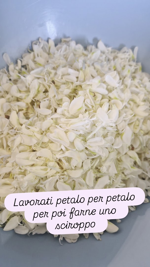 Gelateria da Nonno Piero dal 1895