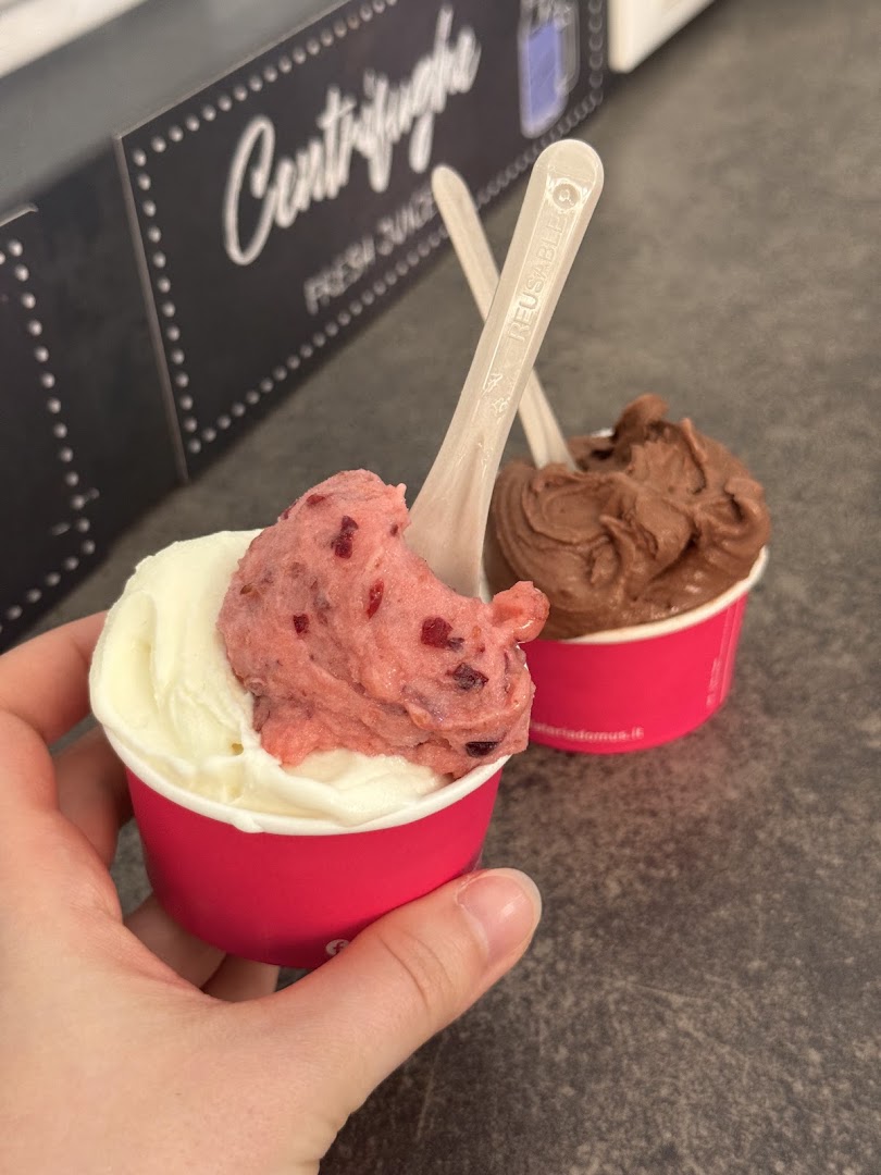 Gelateria Domus Gelato Artigianale e Yogurt a Bergamo Alta