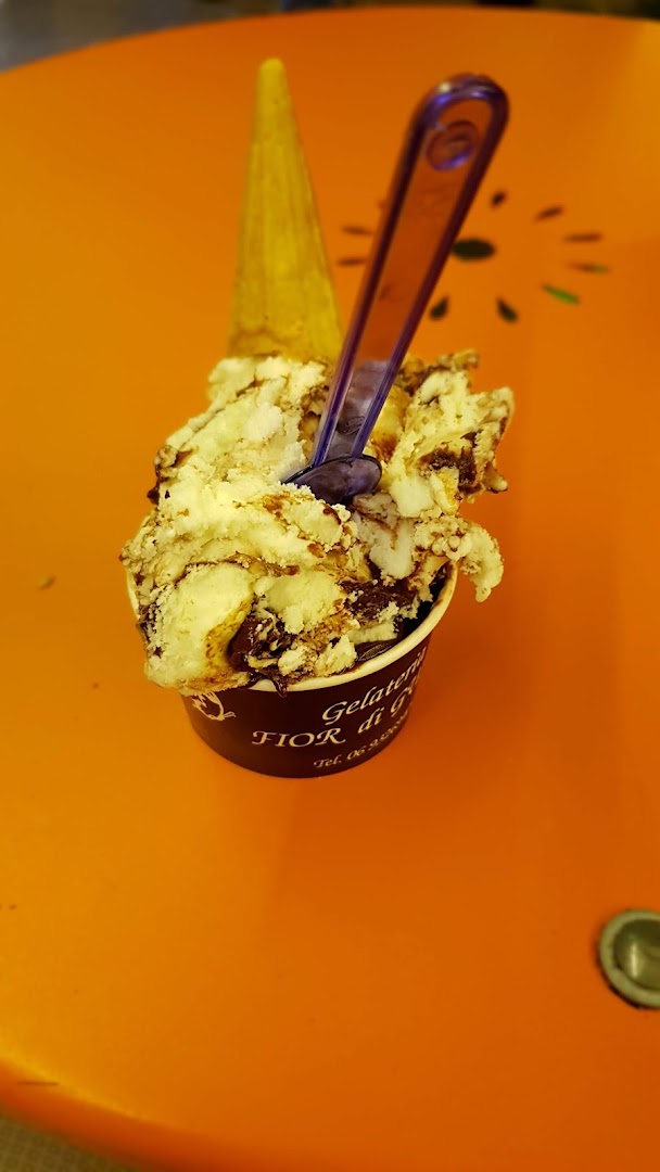 Gelateria Fior di Gusto Albano Laziale