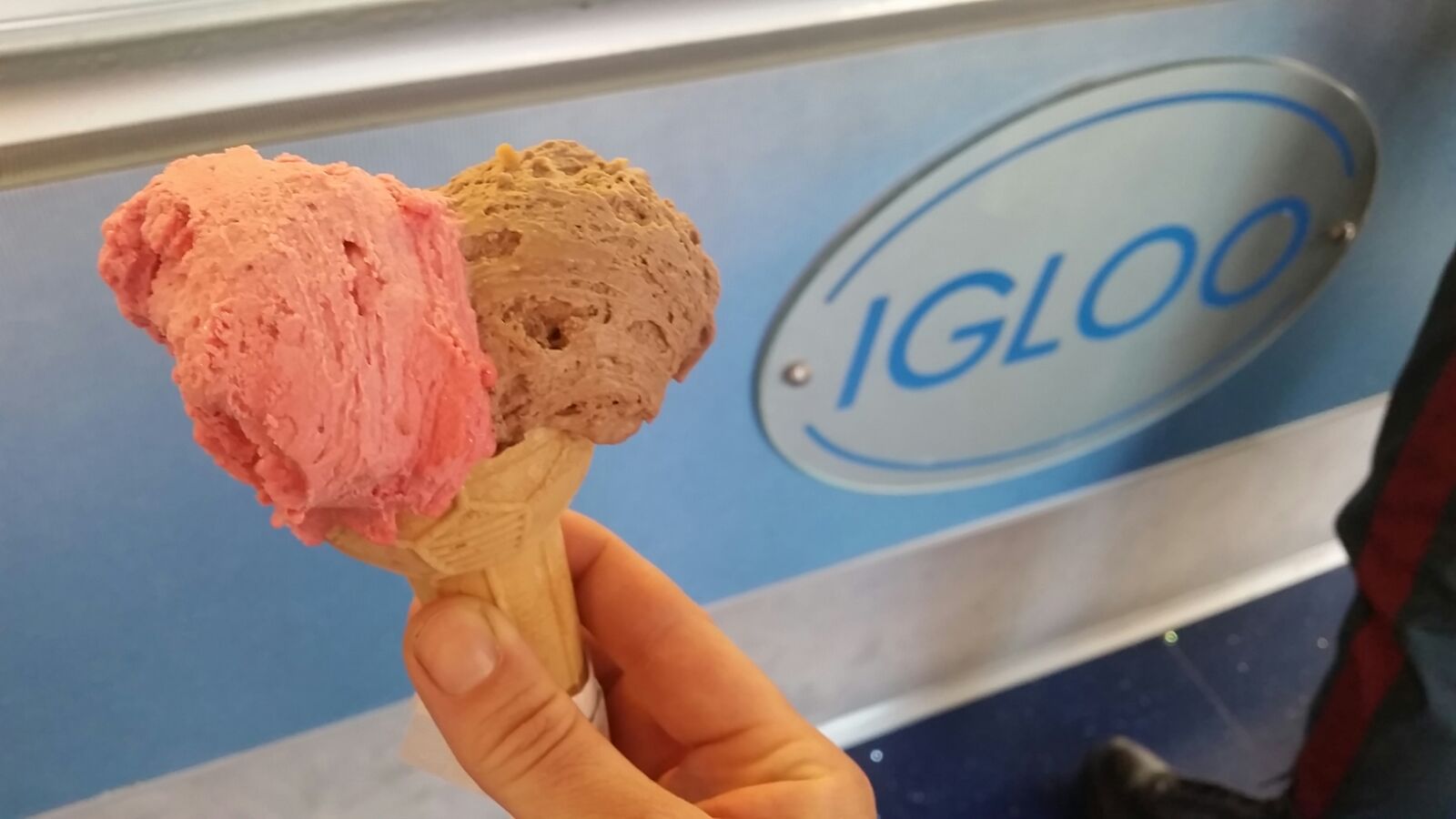 Gelateria Igloo Verona