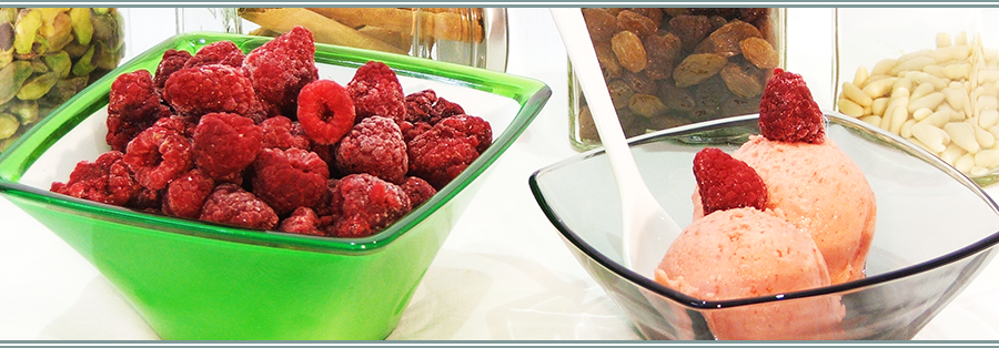 Gelateria - Il Ghiottone GALLARATE