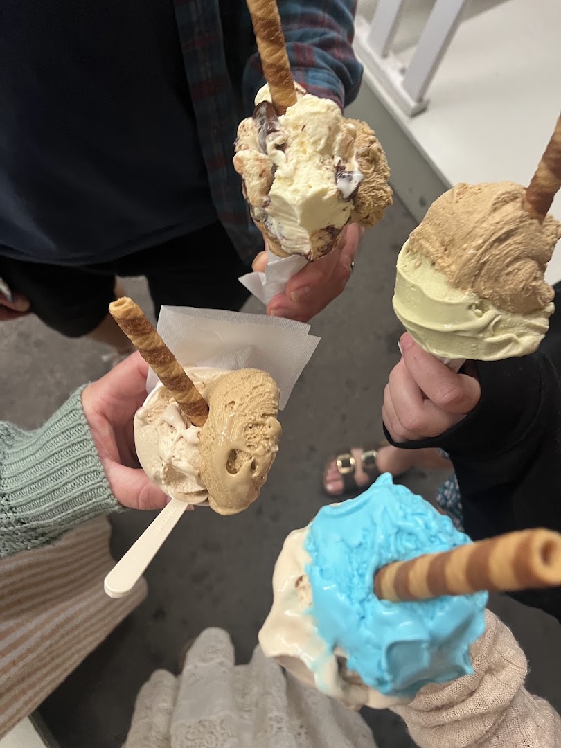 Gelateria Il Pinguino S.r.l
