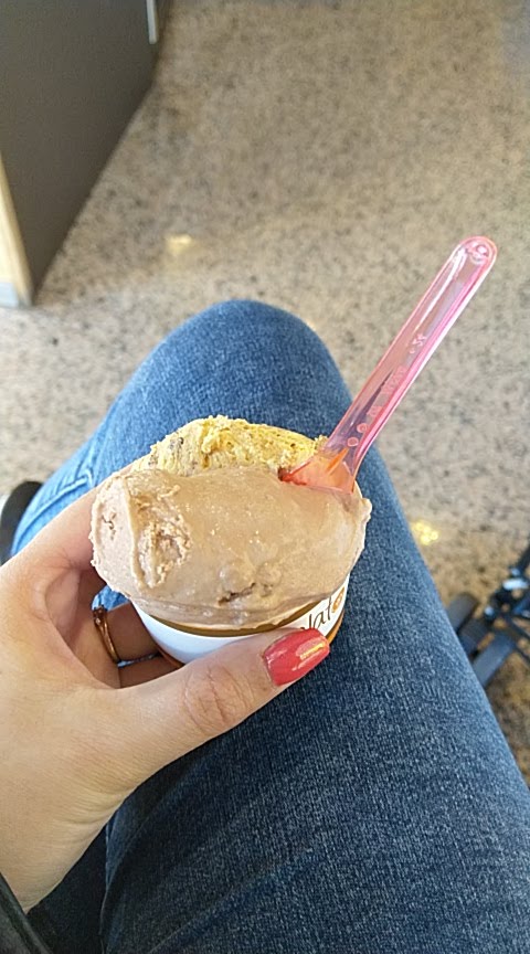 Gelateria Il Ranocchio
