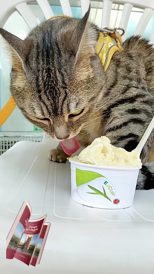 Gelateria La Dolce