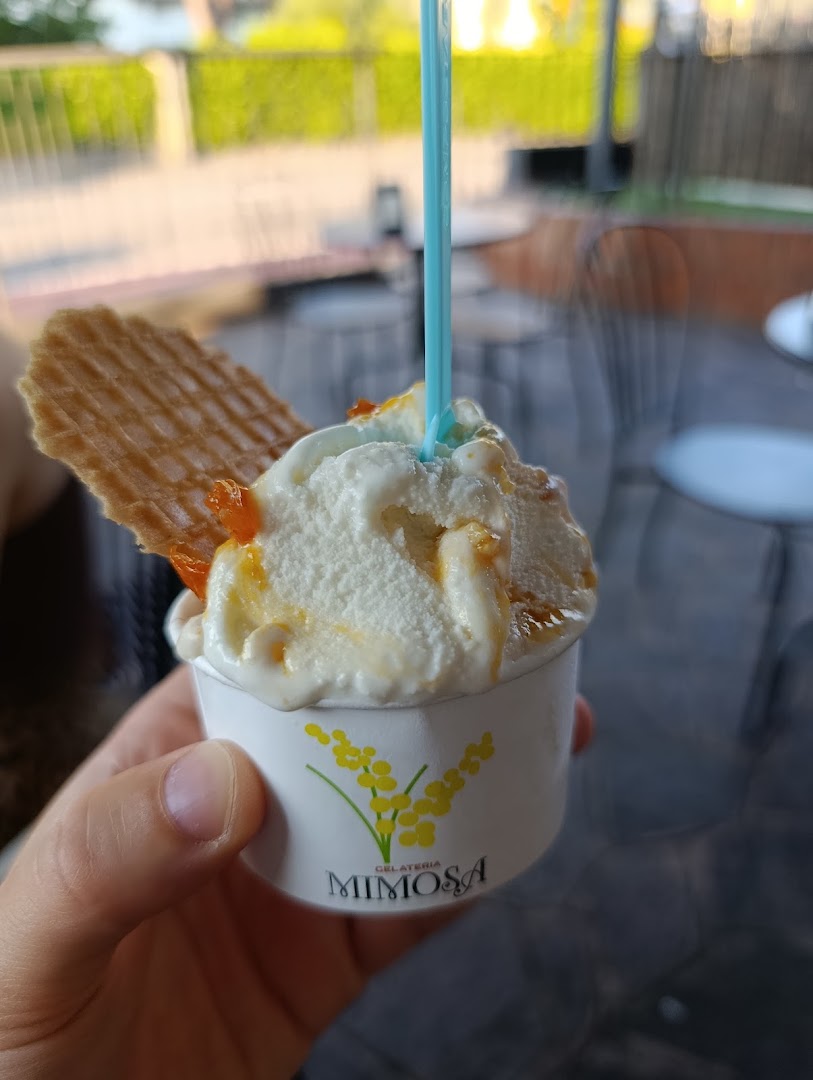 Gelateria La Mimosa