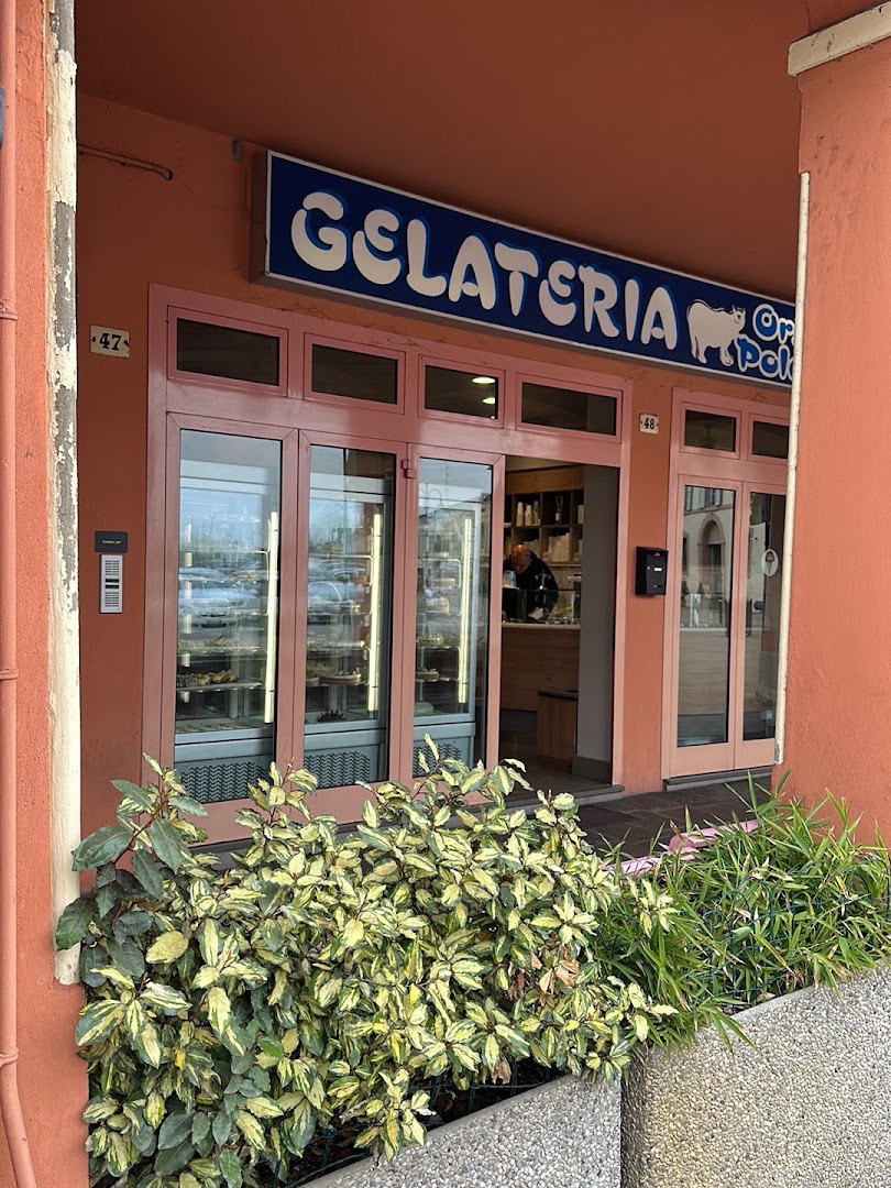 Gelateria Orso Polare Snc