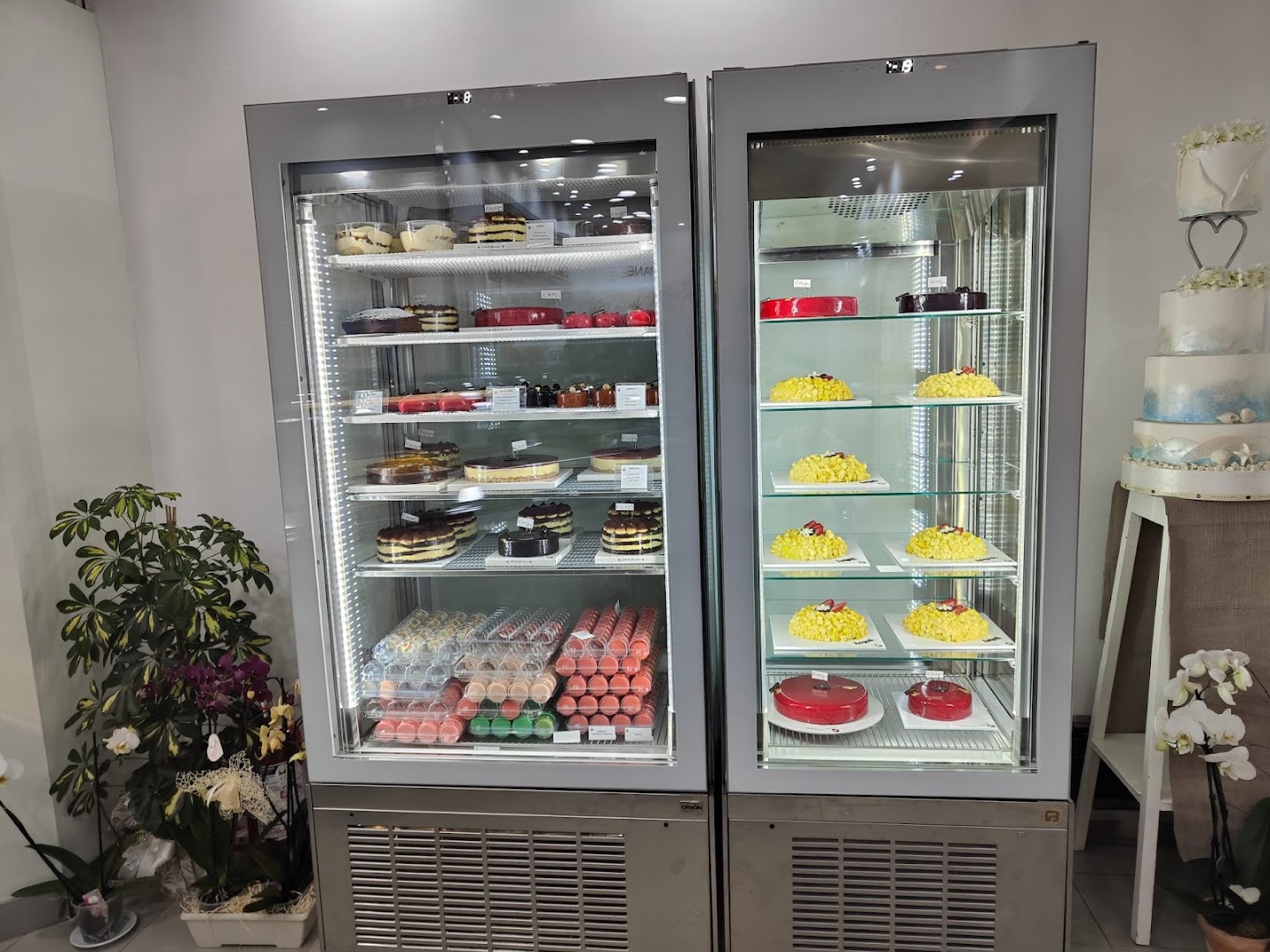 Gelateria Pasticceria Pangnomo
