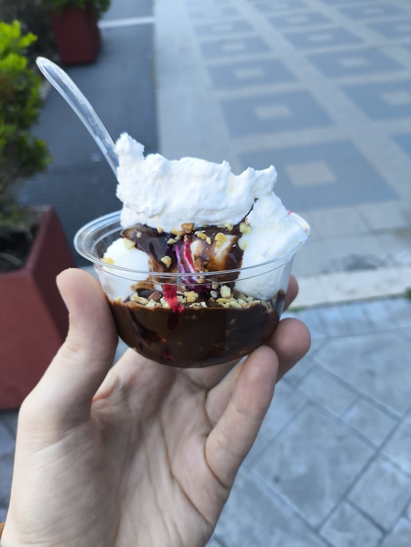 Gelateria Treccioni Di Valentina Treccioni