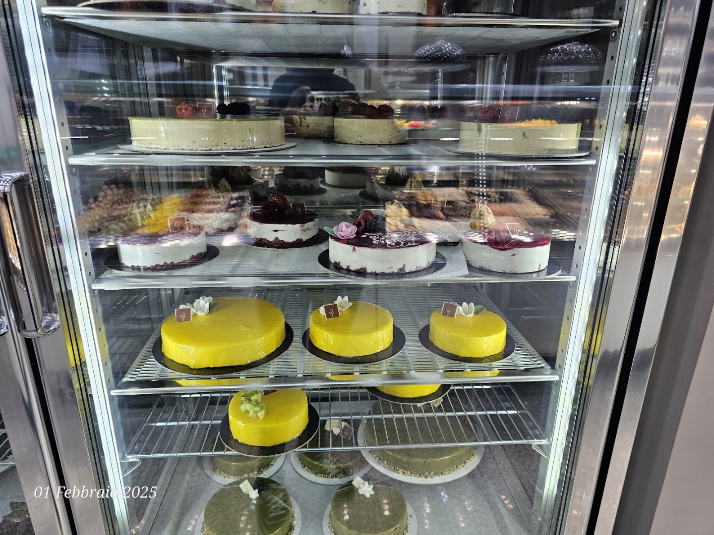 Gelatilandia S.R.L.