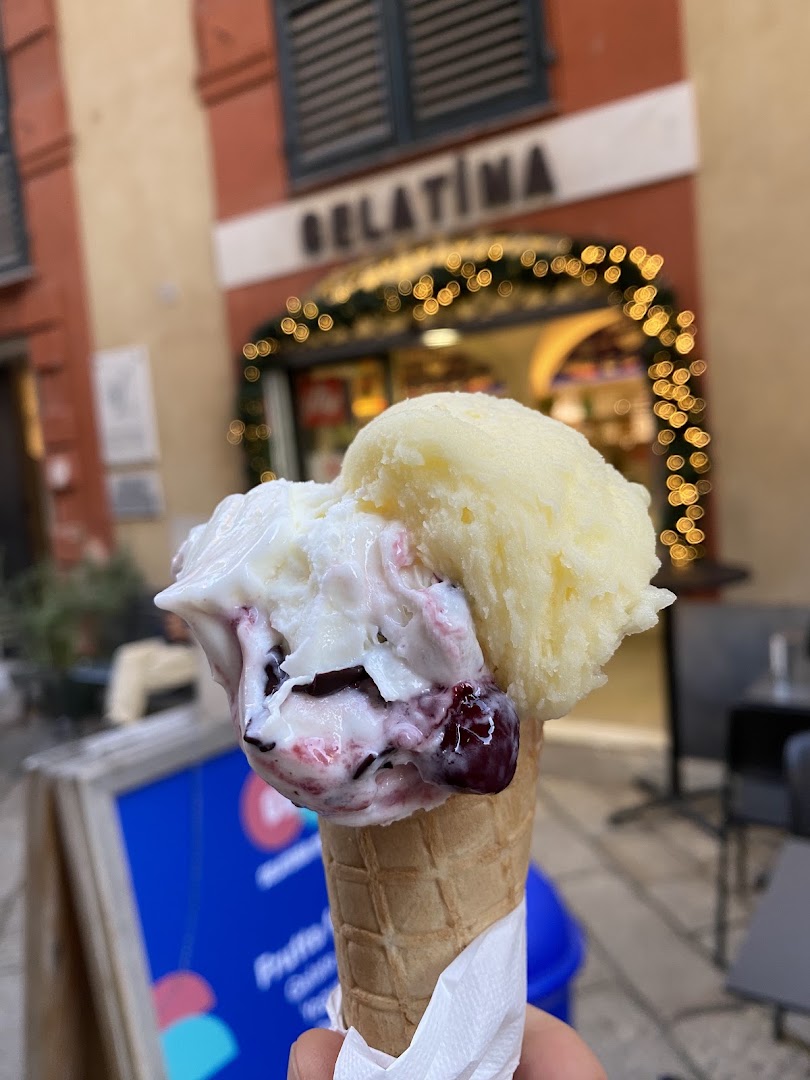 Gelatina s.a.s. di Martina Francesconi e C.