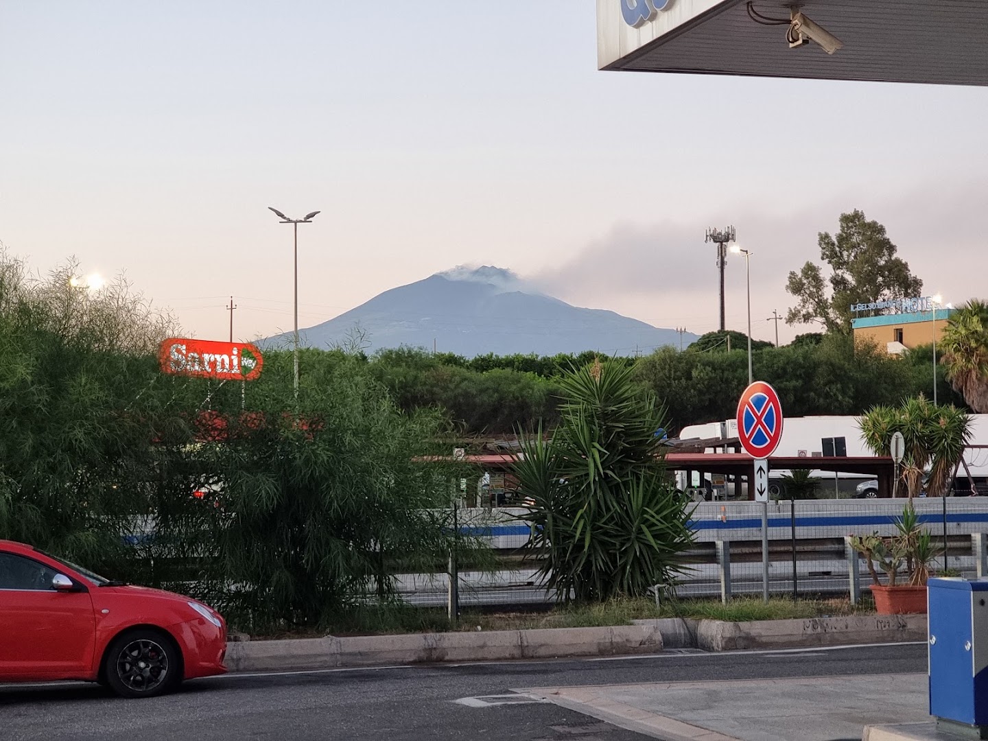 Gelso Bianco Sud Q8