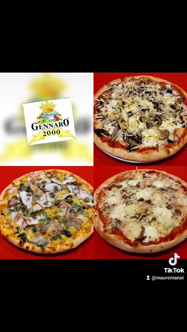 Gennaro 2000 & C. SNC Di Mansi Mauro