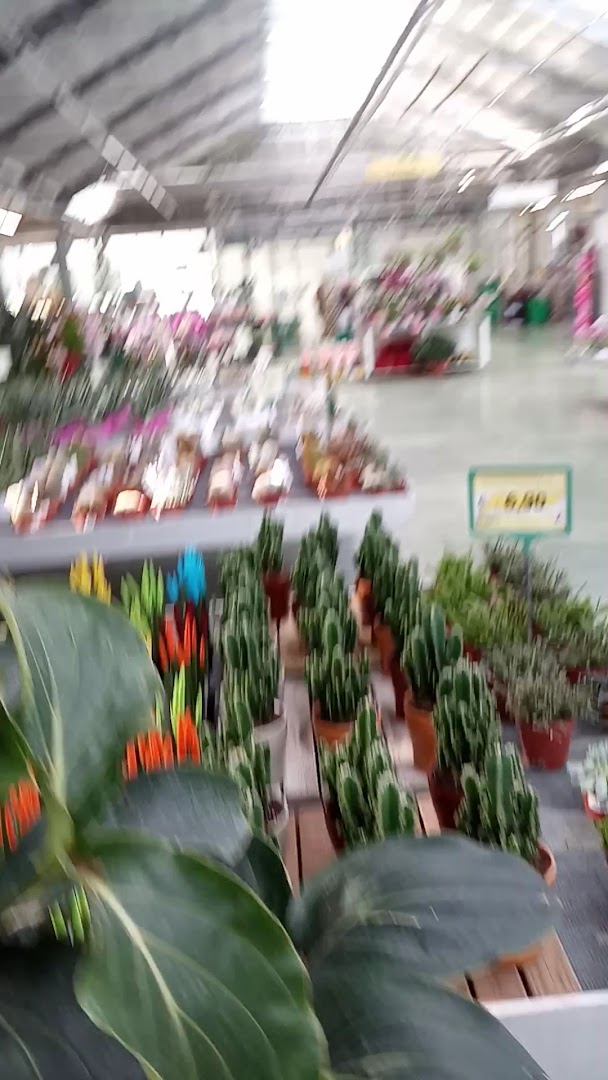 Giardineria