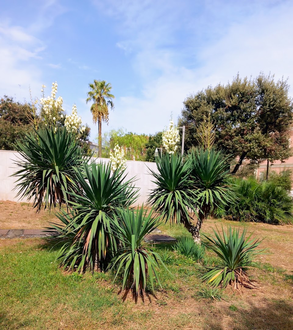 Giardini De Nittis