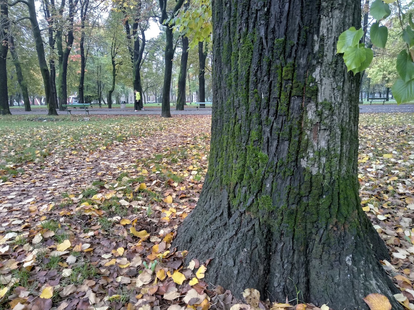 Giardini della Stazione