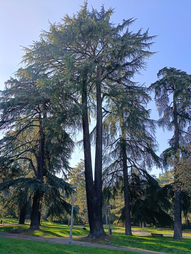 Giardini di Villa Cassarini