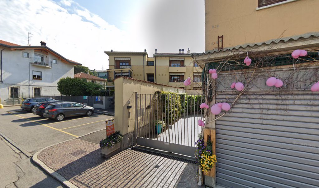 GIARDINI E SPURGHI, Arosio