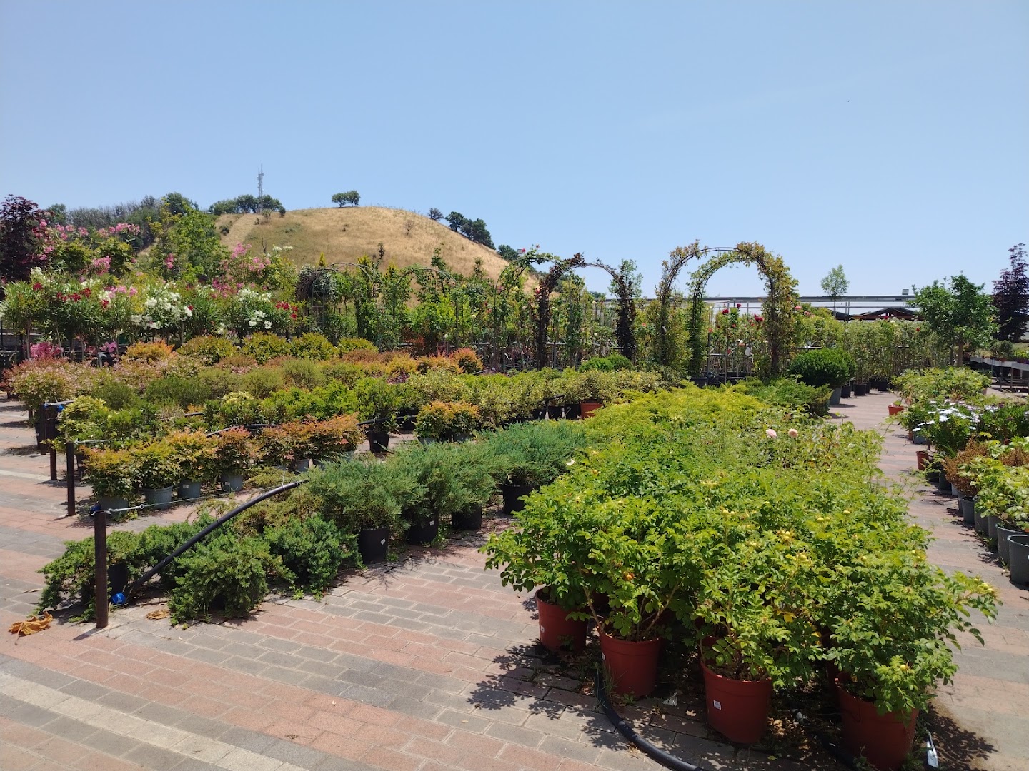 Giardini Fioriti