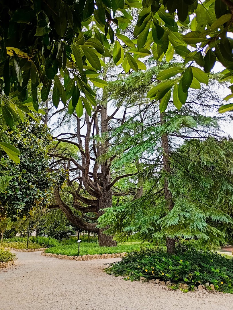 Giardini pubblici Giuseppe Coletti