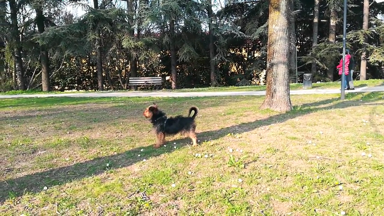 Giardini Raggio di Sole